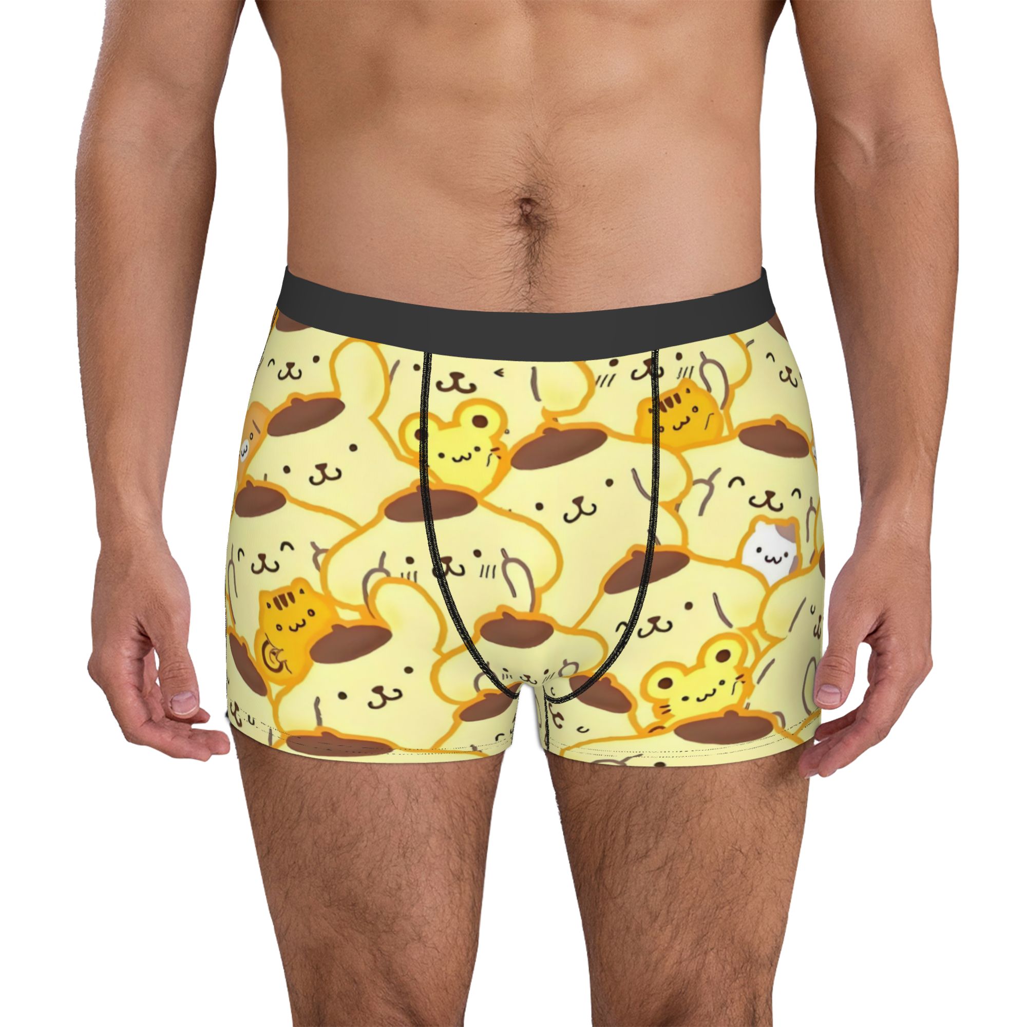 Cartoon Pompompurin Underwear  - Boxer Shorts Modal recension och pris