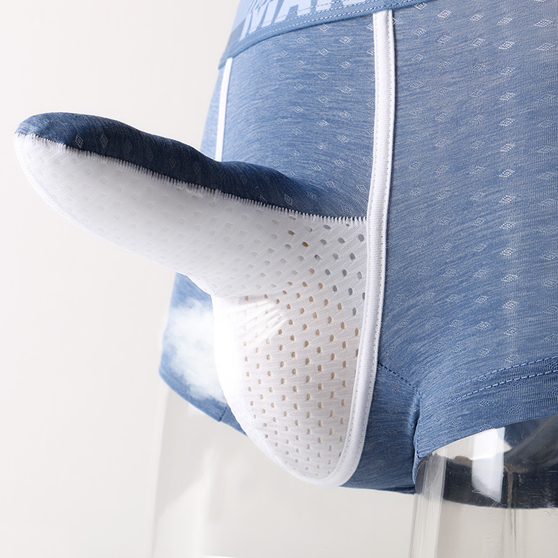 Men's Ice Silk Boxer Briefs, B - Mesh Sport Boxer recension och pris