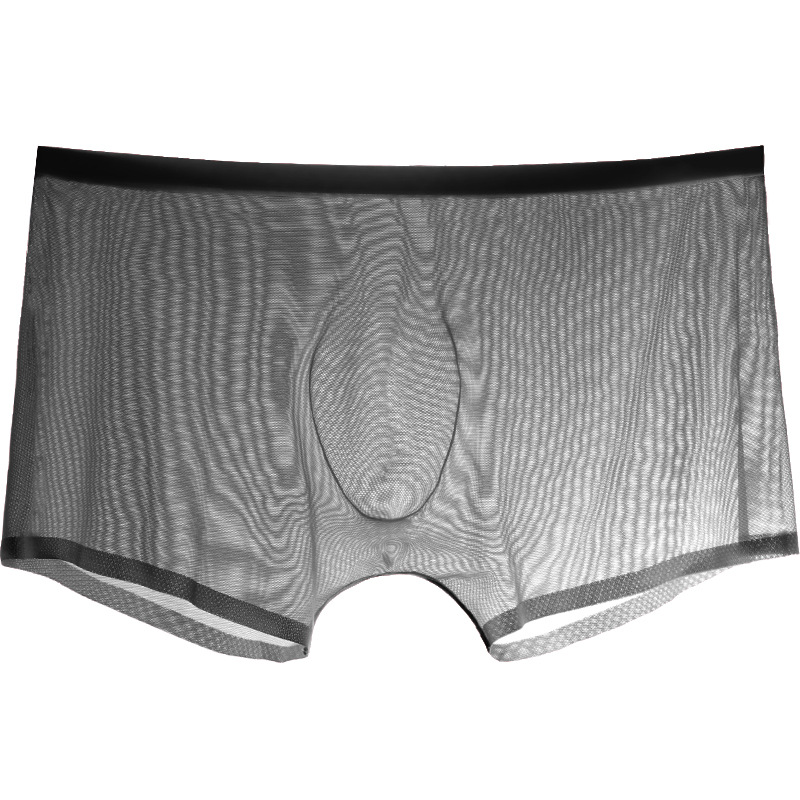 Male Boxer Men Briefs Sheer un - Trunk Breathable Men recension och pris