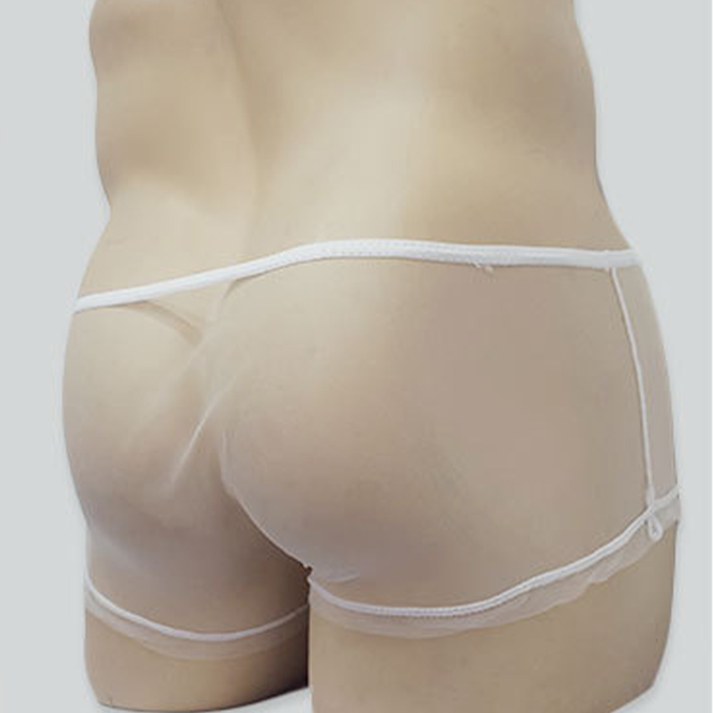 Male Boxer Men Briefs Sheer un - Trunk Breathable Men recension och pris
