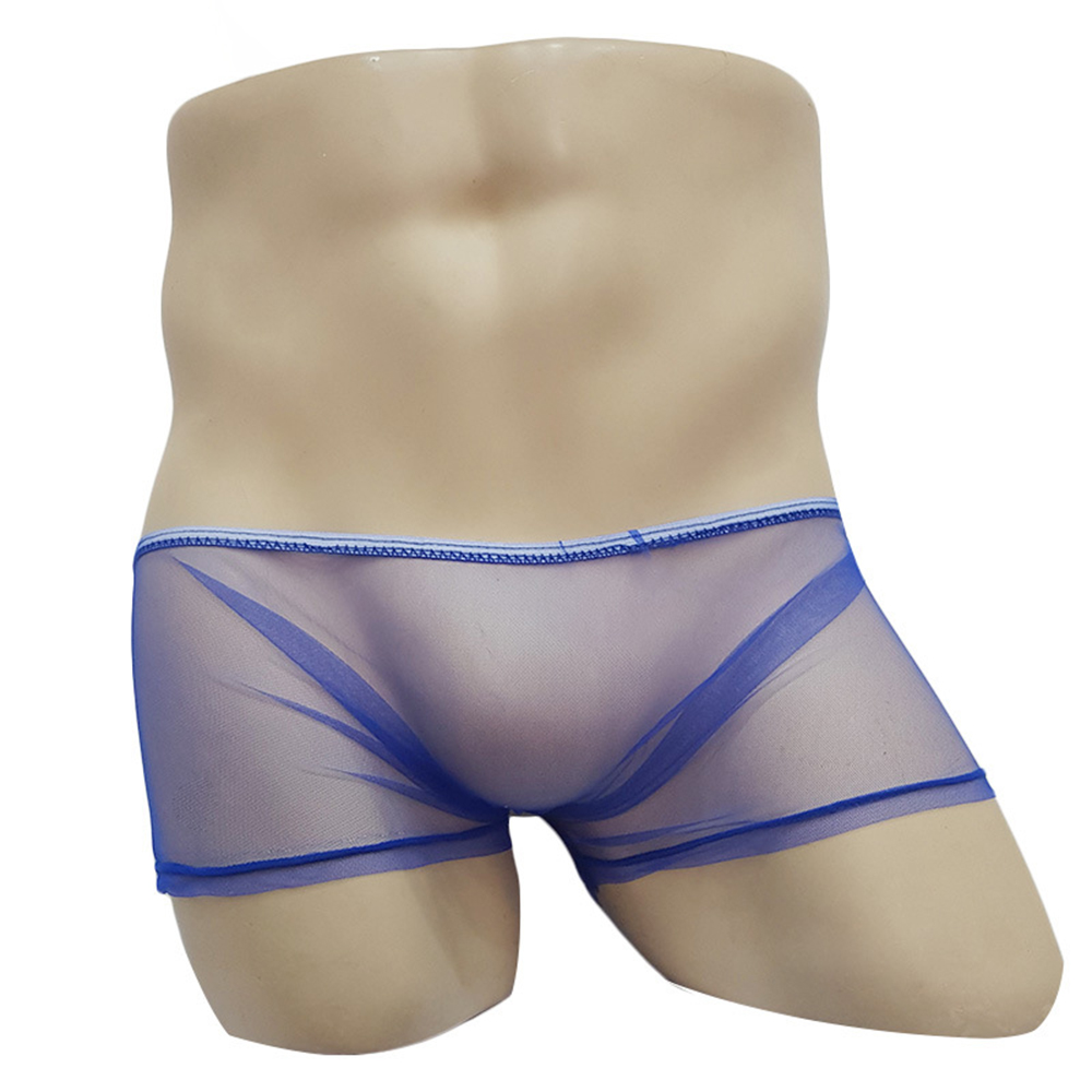 Male Boxer Men Briefs Sheer un - Trunk Breathable Men recension och pris
