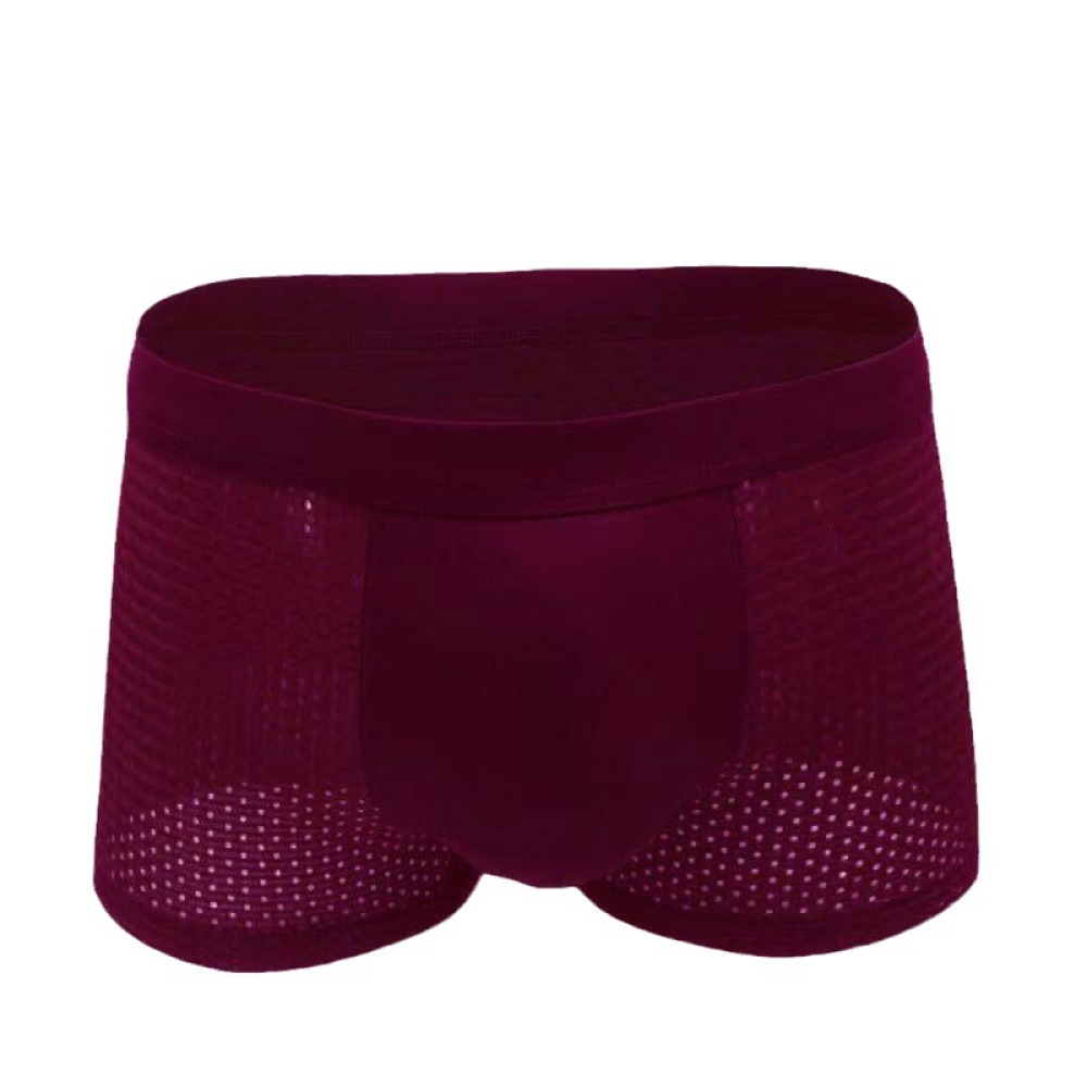 Trunks Mens Underwear Ice Silk - Mesh Sport Boxer recension och pris