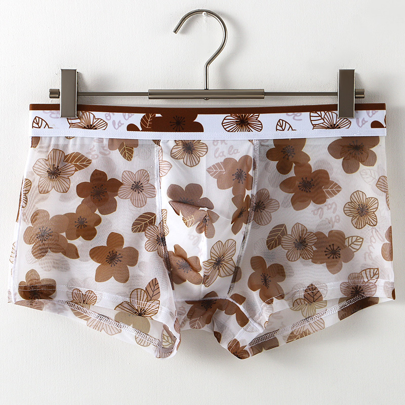 Ultra Thin Transparent Ice Sil - Mesh Sport Boxer recension och pris