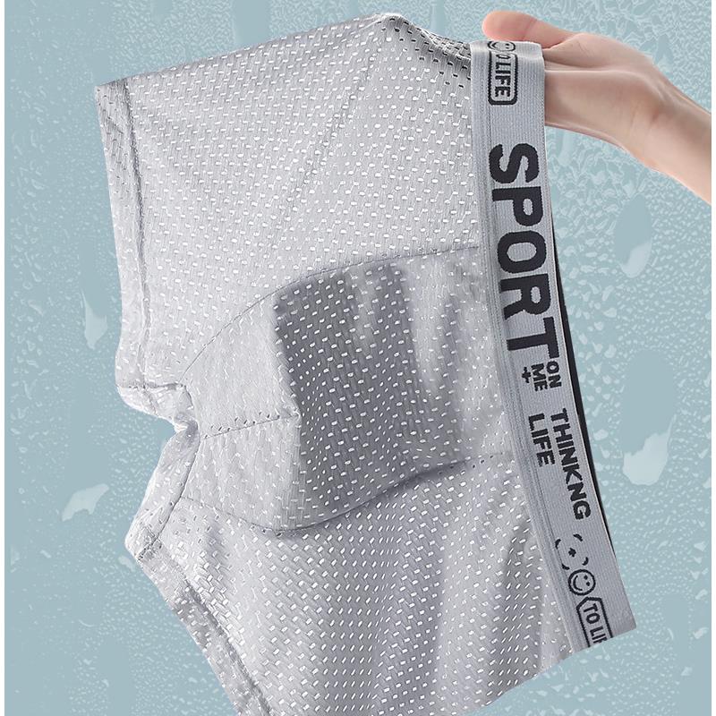 5PCS Men's Ice Silk Mesh Boxer - Mesh Sport Boxer recension och pris