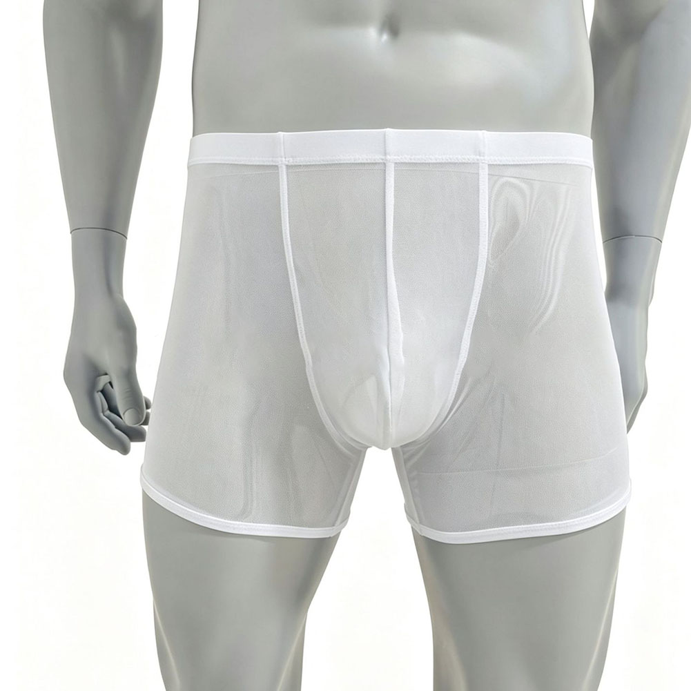 Men Mesh See-through Ultra-thi - Long Leg Trunk Men recension och pris