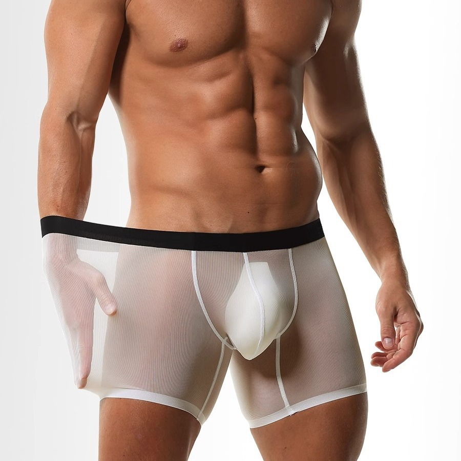 Ice Silk Sheer Mesh Long Leg B - Long Leg Trunk Men recension och pris
