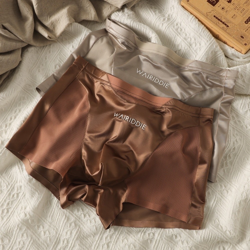 Simple Mesh Ice Silk Underwear - Mesh Sport Boxer recension och pris